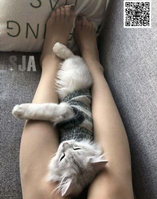 爱情电影网aqdy社处片_4K迅雷电影在线